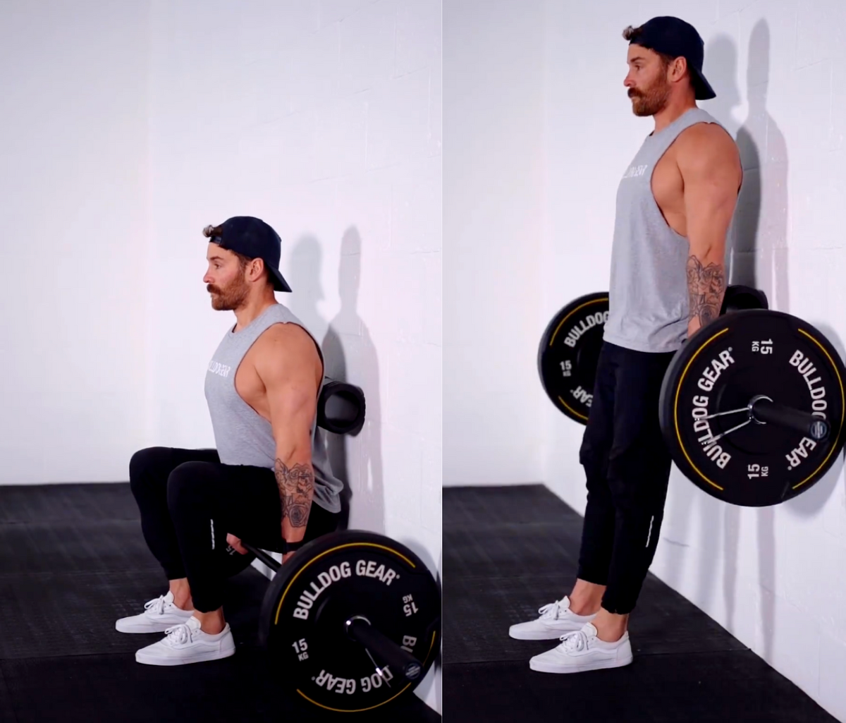 Dumbbell Squat (back on stability ball wall) - Gym visual