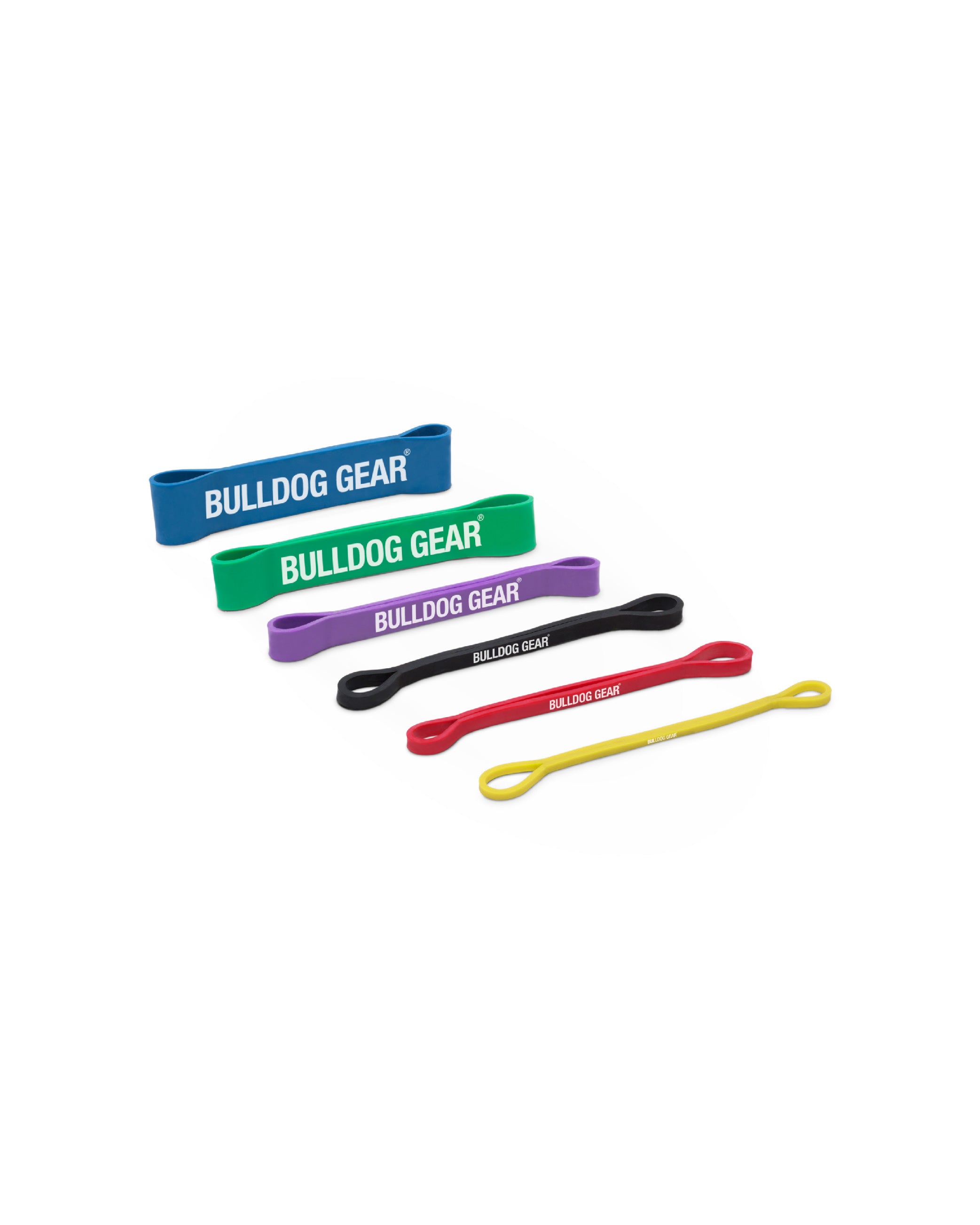 A single green leaf against a white background.