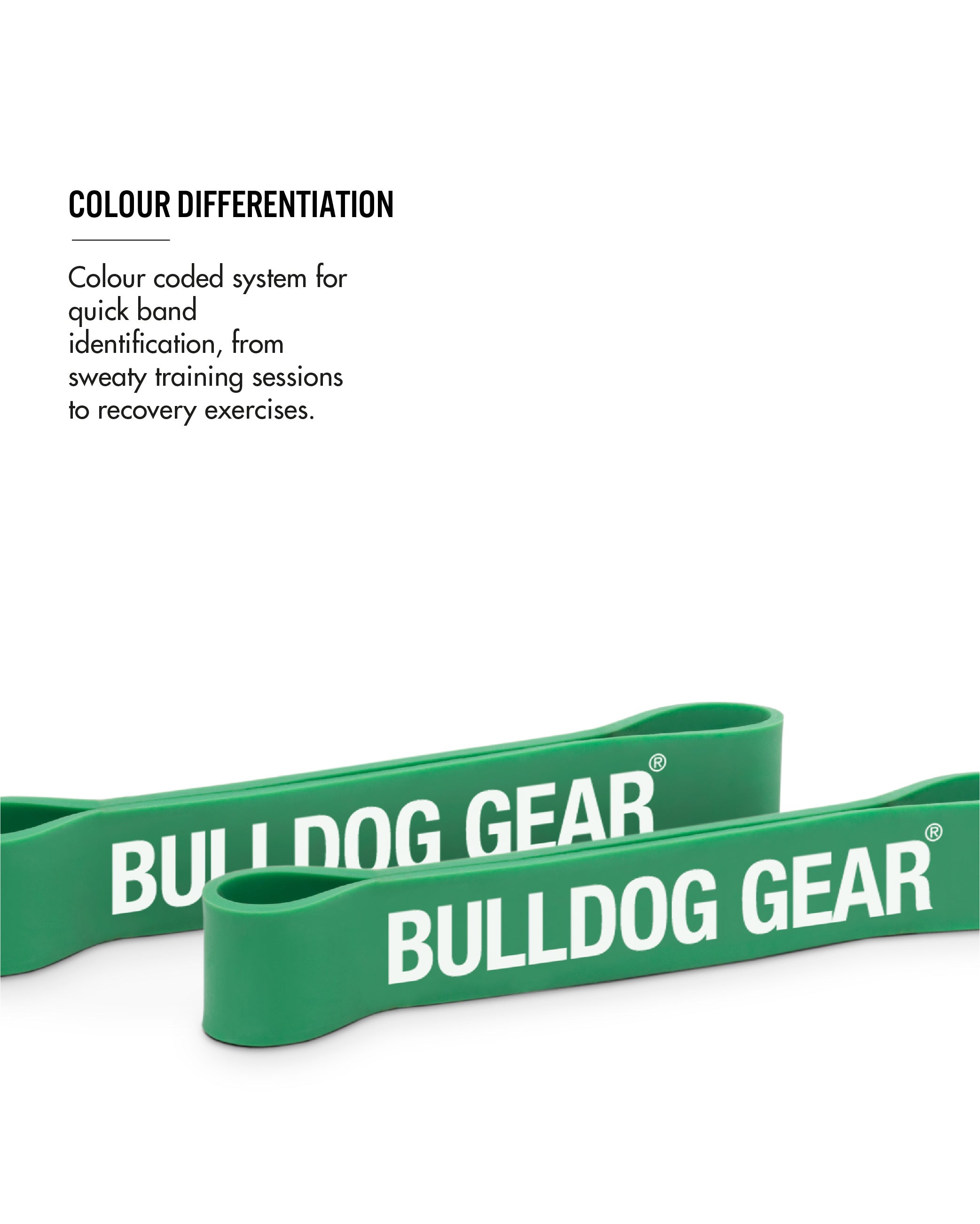 Bulldog Gear Short / Shorty Resistance bands