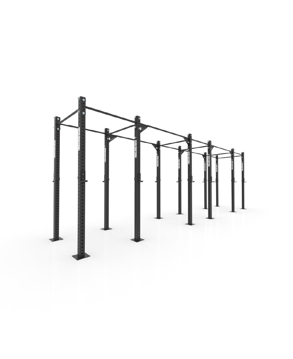 Free standing gym rig sale